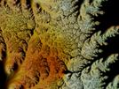 Corail