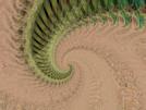Earth Life
