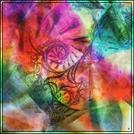 Flower In Liberty 76