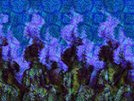 Khan's Army Marching