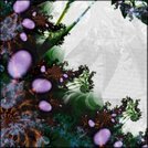 Misty Bouquet 2c
