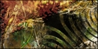 Rusty Chaos 5